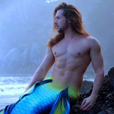 Professional Merman / Aquatic Performer Located in California Ready for international hire. https://t.co/v27TayhBLY