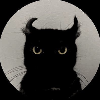 ThePosterOfCats Profile Picture