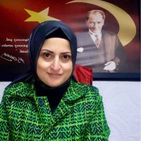 Aslı Aybala (@aybalq) 's Twitter Profile