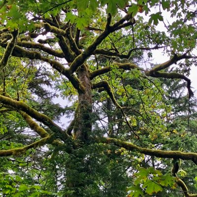 Heranpareshan's profile picture. 