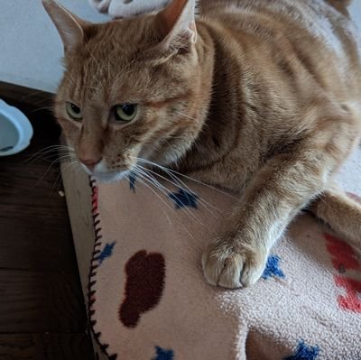 S_Restert0201's profile picture. 