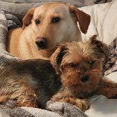 rksportz34's profile picture. ROLL TIDE!!!