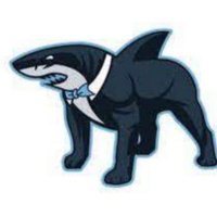 South Shore Shark Dawgs (@sharkdawgsbsbl) 's Twitter Profile Photo