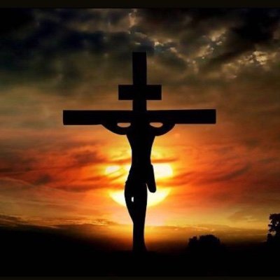 11whitey11's profile picture. 