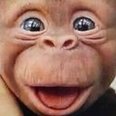 Larry Boardman - @LarryBoardman6 - Twitter