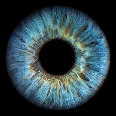 unzed2's profile picture. 