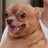 AviatAtom's profile image