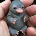 Hannah Lees - @L20799927 - Twitter