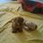 Etharo's profile image