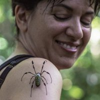Amy Harmon (@amy_harmon) 's Twitter Profile
