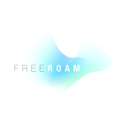 FreeRoam