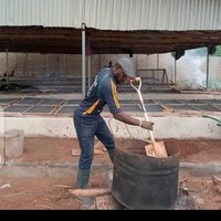 SHELLTOP SNAIL FARM & AGRO CONSULT (@shelltopfarm) 's Twitter Profile