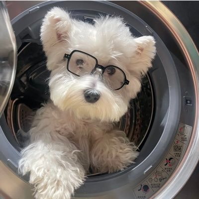 zzby35075959's profile picture. 