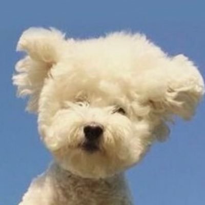 땅강さんのプロフィール画像