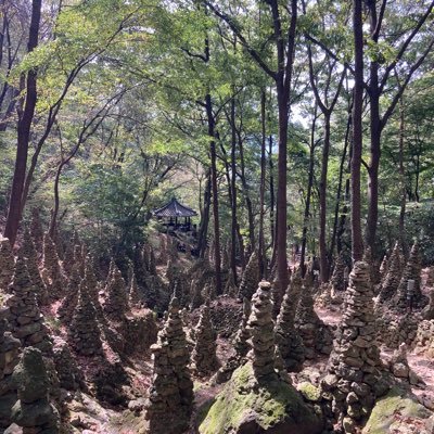 JH__SHIN's profile picture. hi