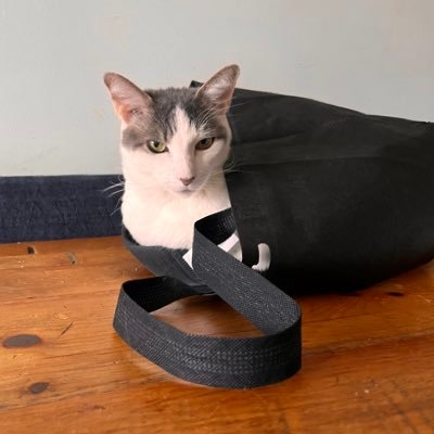 GalkinJonathan's profile picture. Producer @redhotorg / Otherly Love Records @otherlylove76 / Greenleaf Music @greenleafmusic / FourFour Records @fourfourrecords / co-founder DFA Records