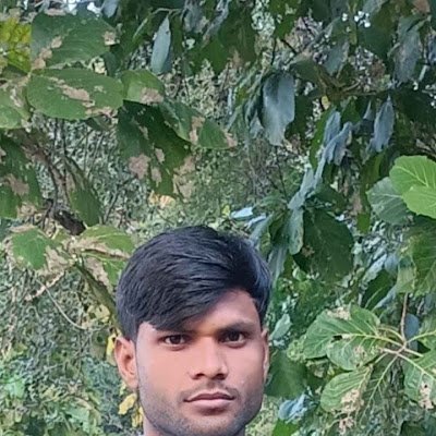 Kamlesh85293569's profile picture. 