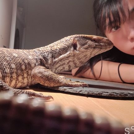 久留米住みの爬虫類女子🦎
令和4年11月1日男の子誕生 

成長記録として写真や動画を投稿していきます👍💕 
DM・コメント返信遅くなるかも😅💦
何卒、宜しくお願い致します🙇‍♀️⤵️