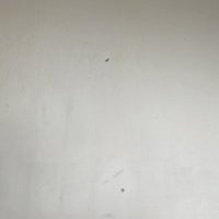 熊弟弟想交朋友 (@qw75431493) 's Twitter Profile