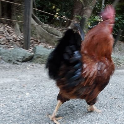 貧脚の社会人一年目です。PINARELLOのPARISにメインで乗ってます!わからないこと多いので、ぜひ皆さんの知恵をお借りしたいです!!無言フォロー失礼しちゃうことが9割あります。
