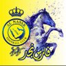 nas12er's profile picture. الخرج