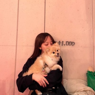 oidon_mmhs's profile picture. コピーライター / UXライター🕺 ところで私のことはいいのでポメラニアンを見ていただけますか？👇