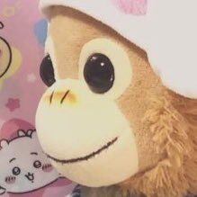 可愛いぬいぐるみ大好き♪ベイビーロコモコのうーたん🐵♂&ララ🐵♀くまのプーさん🐻シルバニアファミリー🐰…(⌯˃̶᷄ ⁻̫ ˂̶᷄⌯)ｷｭ ﾝ💕 最近は「ちいかわ」にハマってます ₍ᐢˊo̴̶̷̤ ̫ o̴̶̷̤ˋᐢ₎💕お気軽にフォローしてください(♡ᴗ͈ˬᴗ͈)⁾⁾