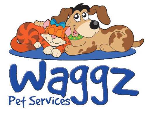 Jen Huber - Pet Sitting, Dog Walking, Vacation Care & Dog Training in Alamance & Eastern Guilford Counties, NC.