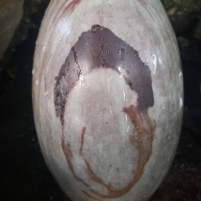 ShivShivShiva2's profile picture. 🕉