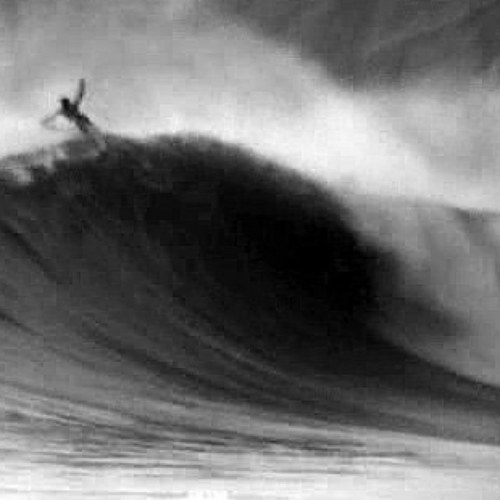 emiguerzoni's profile picture. 