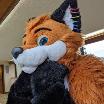 🏳️‍🌈/33/he,him 
Live audio and video engineer.
Seattle area snuggly foxxo.

❤️@haruthedoggo is my good boi❤️
💍 Married 2-25-2023💍

Opinions are my own.