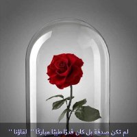 نزيهة يوسف (@nzyhtywsf) 's Twitter Profile