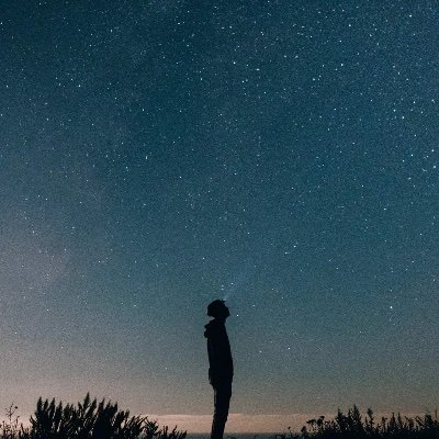 thong091999's profile picture. 