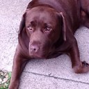 Jordan Bower - @jordanbower - Twitter