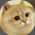 ForceAres (@kongmou123) Twitter profile photo ForceAres (@kongmou123) Twitter profile photo