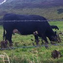 Sean Stumpf - @kdoske - Twitter