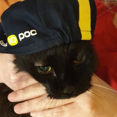 JesusChipolatta's profile picture. Interested in do dahs and watch a ma call its.