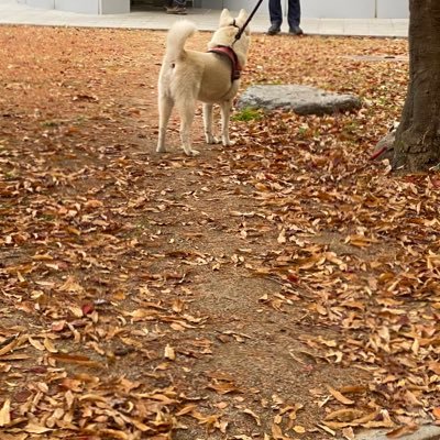 feelfree2textme's profile picture. 