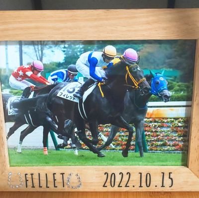 競馬のことがメインですが、その他にも日常や様々な話題で感じたことを呟きます。競馬歴8年の牝です。馬券は主に中央の重賞を買ってます😃そして外れます😭
旦那名義で一口馬主はじめました！(ロード：フィレット🐴→新馬戦勝利🥇)
※有料予想は買いません
※勧誘がしつこい人はブロックします