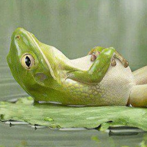 jmitchell4140's profile picture. 