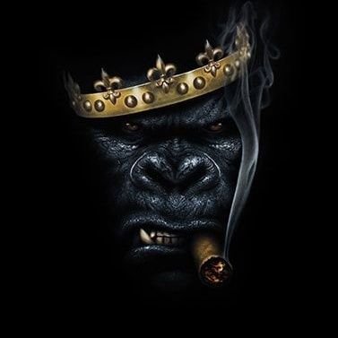 JenKrausETH's profile picture. Woooiiiii