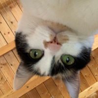 teriac 🍉🌺 (@teriac) 's Twitter Profile