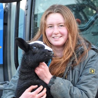 griffithsl07's profile picture. 