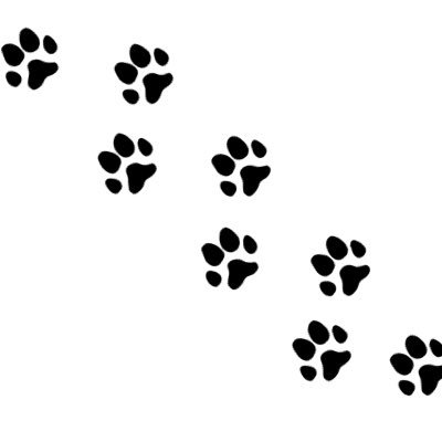 4F2yyZCLZozUnDq's profile picture. 