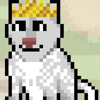 Infractforgoing Profile