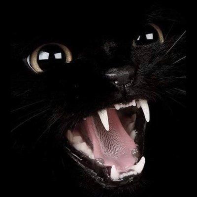 Udaraπ π΅πΈπΈπ©πΎπͺπΏπ¦π±π§ π»π»π»π Profile