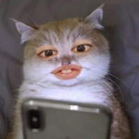 Anna projen fud (@imxxfab) 's Twitter Profile Photo Anna projen fud (@imxxfab) 's Twitter Profile Photo