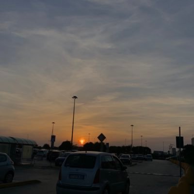 dico tutto il cazzo che mi passa per la testa.