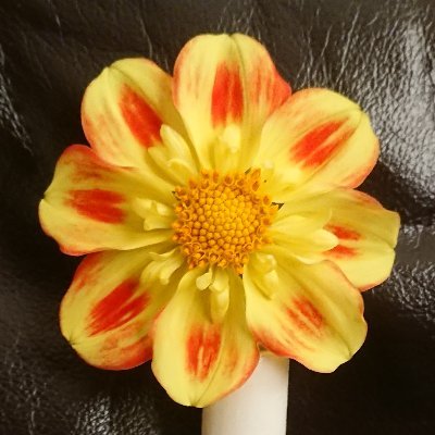 carolconnollyie's profile picture. Hello, how are you? (She/Her)
https://t.co/RmZzFAXKWu
https://t.co/ZcBpHcEVKh
https://t.co/UwW38f9thQ