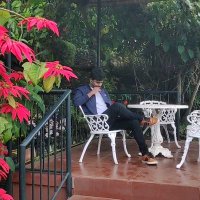 🐾 Floki_N_Hrts♥️ (@floki_n_hrts) 's Twitter Profile